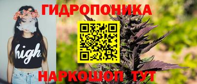 гидра Беслан
