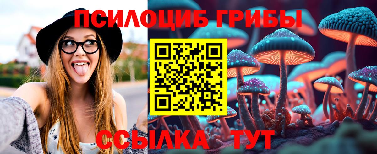 Галлюциногенные грибы Psilocybe  Вход с VPN  Избербаш 