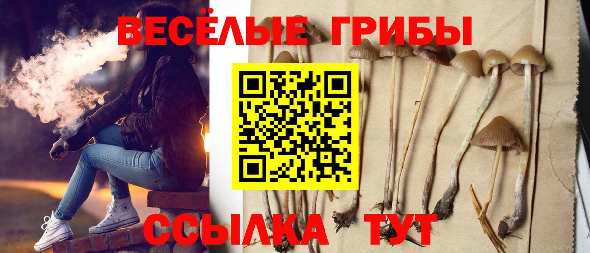 Галлюциногенные грибы Cubensis Избербаш